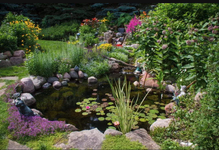 Pond